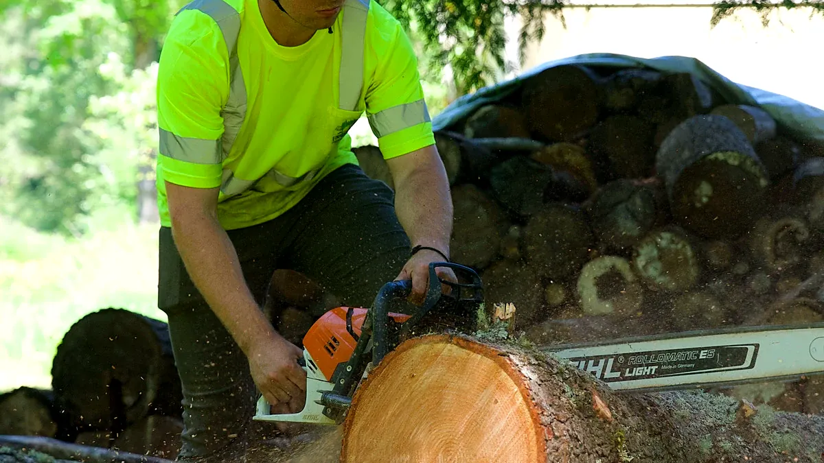 Crew removing a Douglas fir in Beaverton, OR