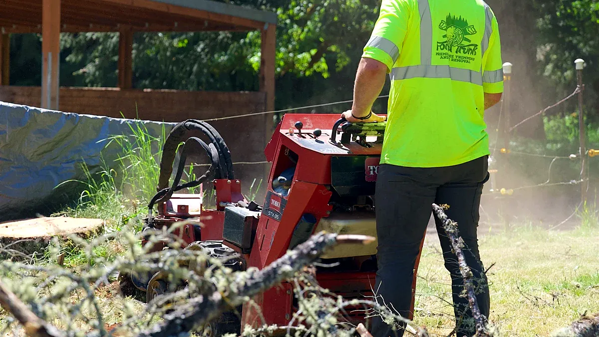 Stump Grinding & Removal job in Beaverton, OR