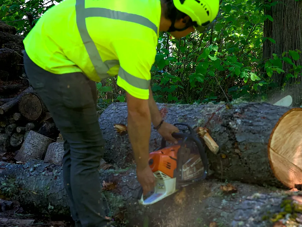 Tree Removal job in Beaverton, OR