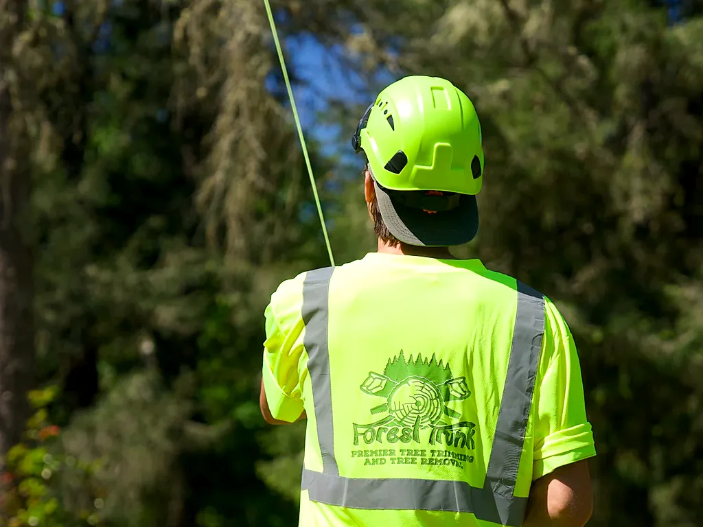 Tree Trimming job in Beaverton, OR